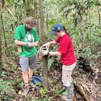 Workshops in the Conservation Internship