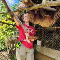 Animal care and medical assessments
