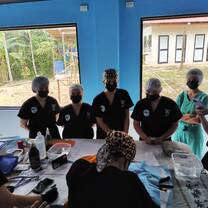 Workshops in Conservation Internship