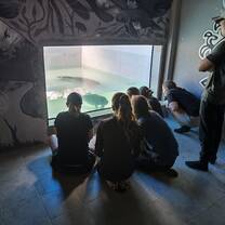 Manatee rehabilitation