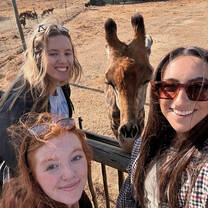 Three volunteers take a selfie with a giraffe!