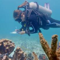 Diver doing an underwater conservation survey