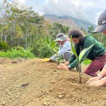 Volunteers planting 
