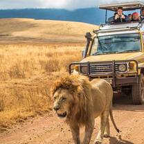 Ngorongorongoro Crater 