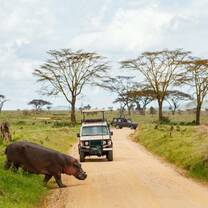 Ngorongorongoro Crater 
