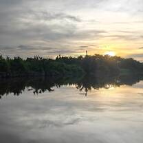 Sunset over mangrove river