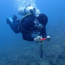 Reef Check 1