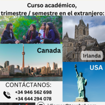Cursos académico 