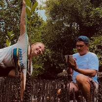 Volunteers are involved in  mangrove research.