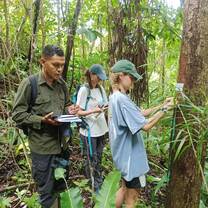 Internship students are learning to identify trees using barcodes.