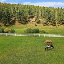 Evergreen Riding Institute