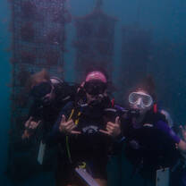 Take a trip to a pearl farm to see up close just how aquaculture works!