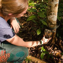 An intern setting up a camera trap