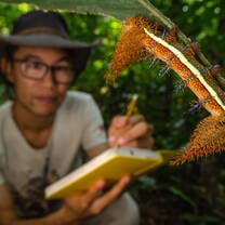 Intern observing a caterpillar