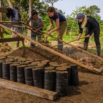 Interns participating in reforestation project