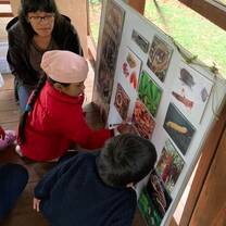 Local children learning about the rainforest ecosystem