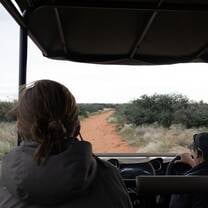 Safari