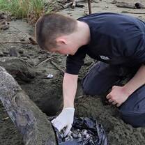 Sea Turtle conservation