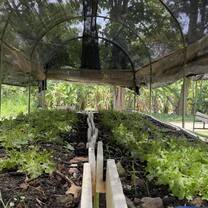 Organic farming