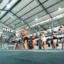 Mixed Martial Arts Workshop
