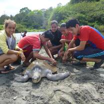 Students with Sea Turtle
