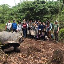 Locate wild Galapagos tortoises