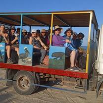Have cultural immersion experiences