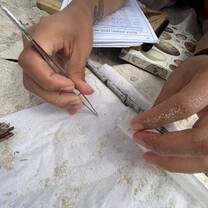 Be part of a citizen science-based program to tackle the plastic pollution problem