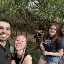 jungle