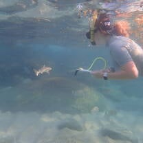 a diver conducts a survey under water