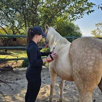 Volunteer assessing horse health 