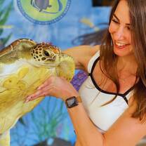 Introduction to turtle