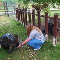 blonde woman bathing a giant turtle