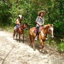 Volunteers riding horses