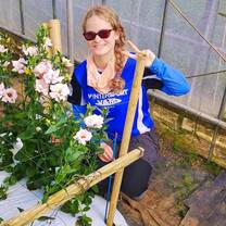 Join a flower farm in Japan and experience rural life.