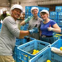 Live the countryside life while working on a farm in Japan.