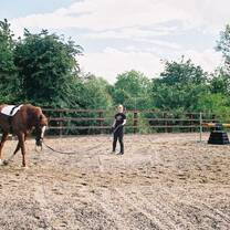 Gain hands-on experience on an Irish horse ranch.