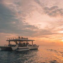 utopia catamaran