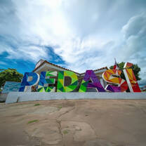 photo21