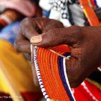 GEI Global Custom Internship - Kenya