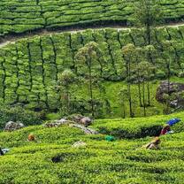 Munnar