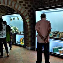 Instruments Museum Tour