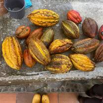 Cacao Pods at Quito Market