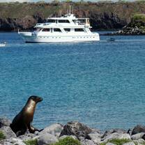 Sea Lion and Boats at Galapagos