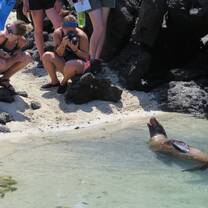 Students Photographing Galapagos Seal