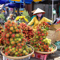 Entrepreneurship & Social Innovation in Vietnam
