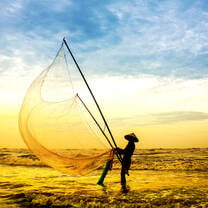 Sustainable Development in Vietnam