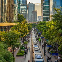 GEI Global Custom Internship - Thailand