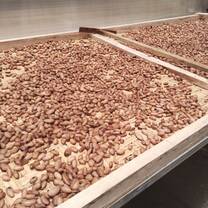 Cacao