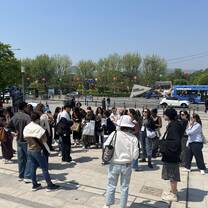 You can see world K-POP stars